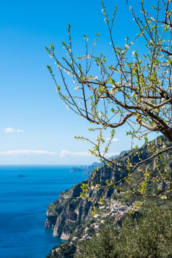 Yourhome - Casa Ivi Positano Eksteriør billede